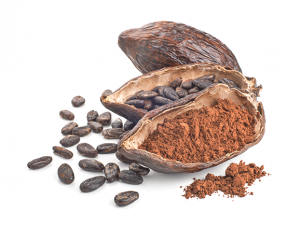 Cacao
