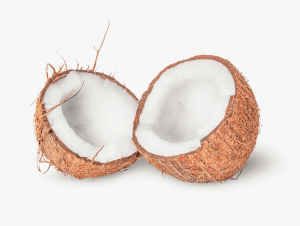 Coconut