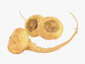 Maca
