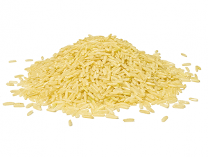 Rice Protein