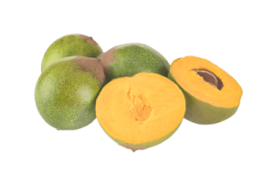 lucama