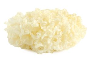 tremella